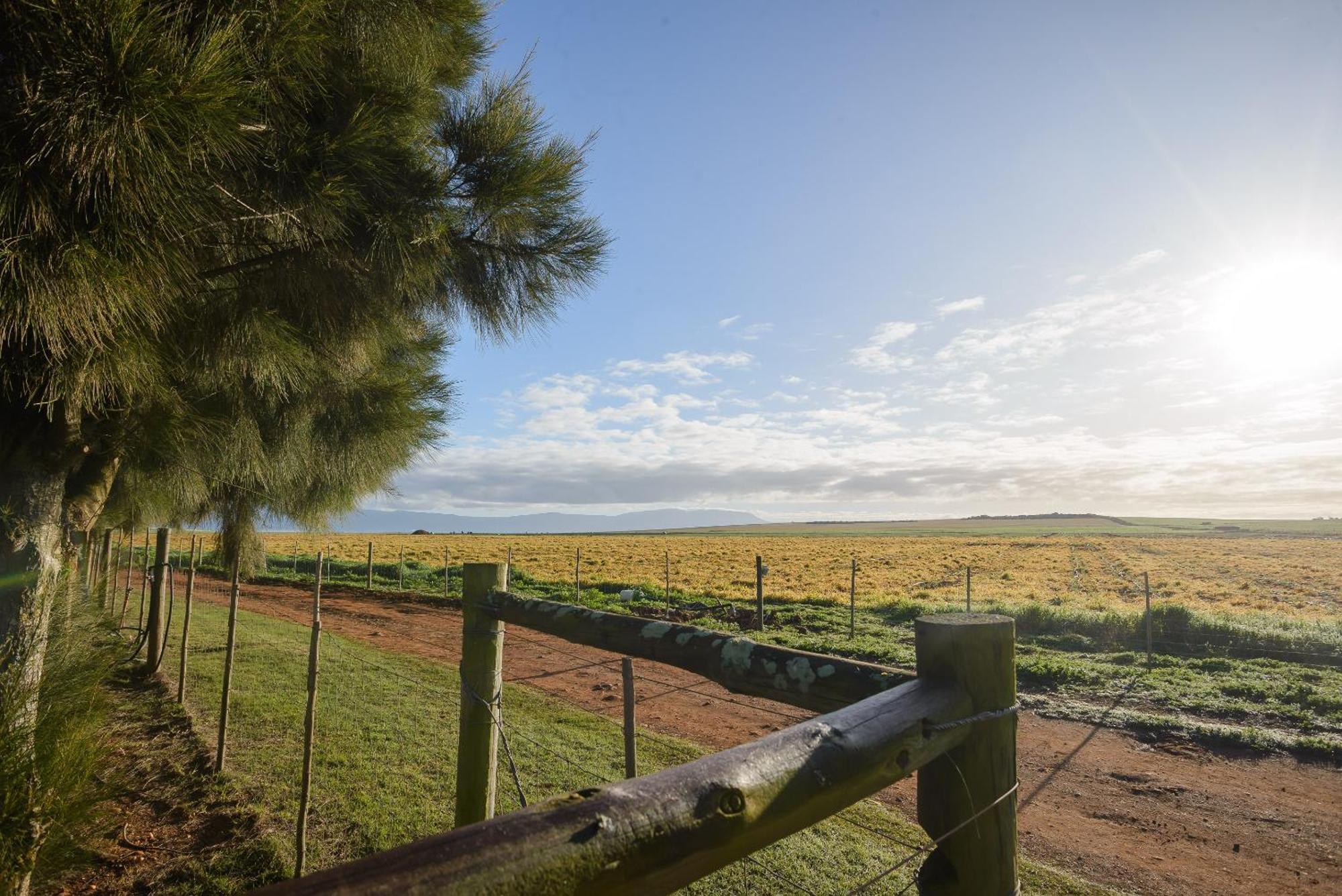 Oorvloed Guesthouse Swellendam Luaran gambar